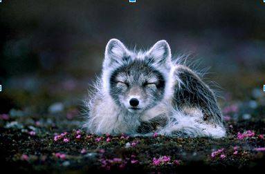 554560_557965907585989_1760353124_n