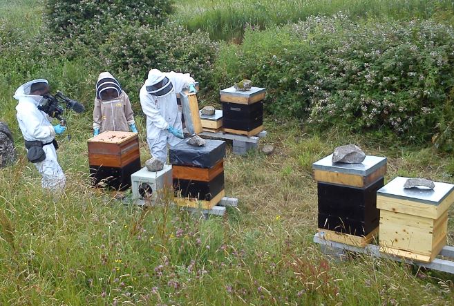 Filming for RTE's The Science Squad programme (Photo creditL Linda Connor)